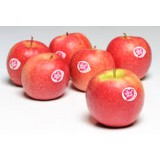 ÄPFEL PINK LADY 1KG